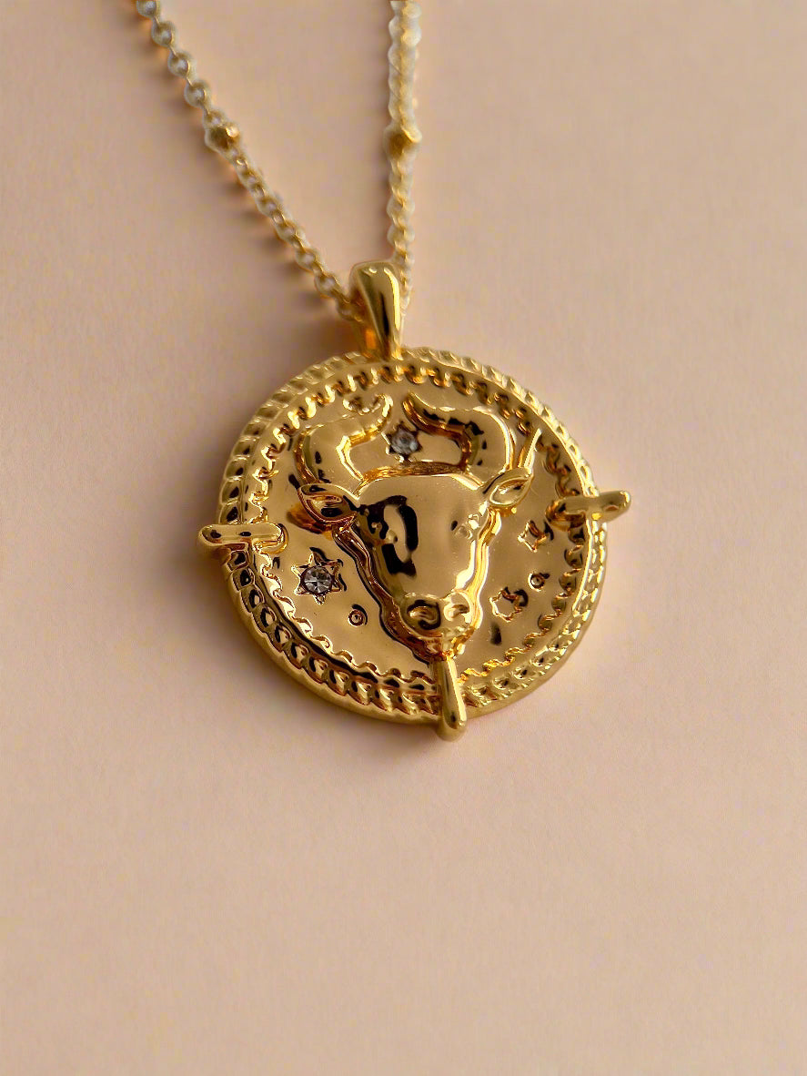 Zodiac Necklace Collection