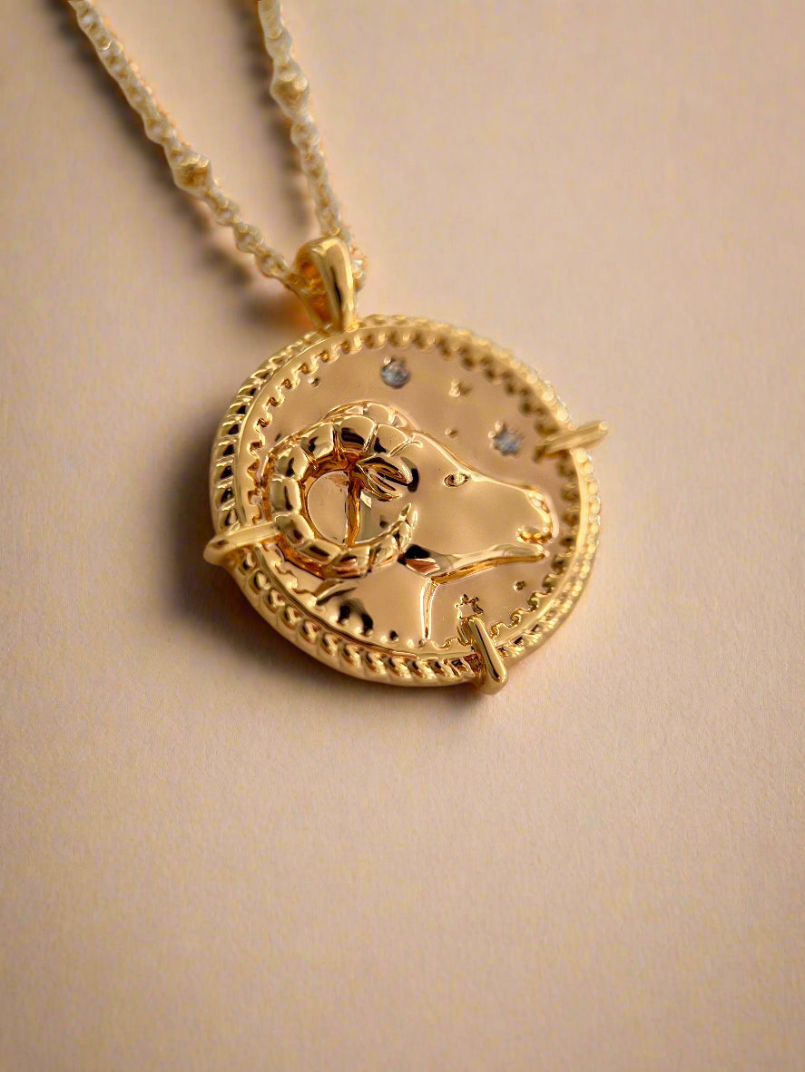 Zodiac Necklace Collection
