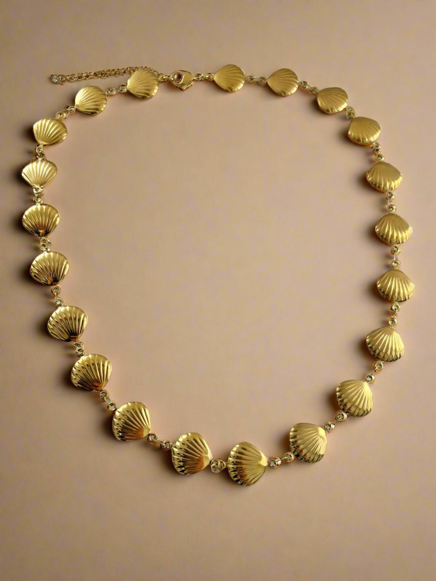 Seashell Chain Necklace